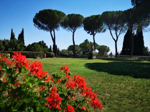 een groep rode bloemen in een park met bomen bij Villa Bellaria in Campagnatico