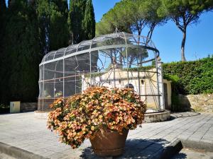 a plant in a pot in front of a glass house at Villa Bellaria in Campagnatico