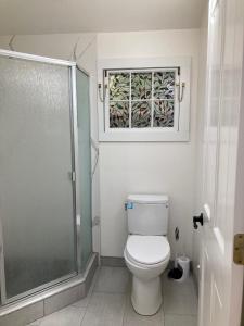uma casa de banho com um WC e uma cabina de duche em vidro. em Santa Cruz Hostel em Santa Cruz