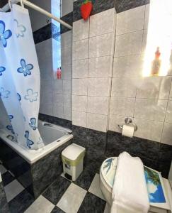 W łazience znajduje się toaleta, wanna i umywalka. w obiekcie Alexandras cozy apartment Ioannina w mieście Janina +10 zdjęć