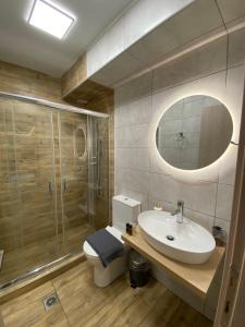 łazienka z toaletą, umywalką i prysznicem w obiekcie Alexandras cozy apartment Ioannina w mieście Janina