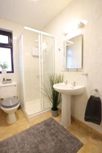 a bathroom with a shower and a sink and a toilet at Bright 3bed sleeps 9 with secret garden 5min walk to town in Sligo