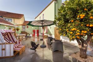 a cat is walking on a patio with an orange tree at Vintage Balcony Guesthouse & Suites in Ovar