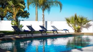 ein Swimmingpool mit Liegestühlen und Palmen in der Unterkunft Villa Videira By Dalma Portuguesa - By Dalma Portuguesa in Sesmarias