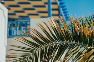 Fotografie z fotogalerie ubytování Vithos Seaside Aparthotel v destinaci Astypalaia