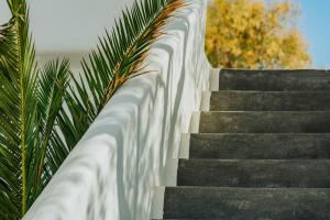 Fotografie z fotogalerie ubytování Vithos Seaside Aparthotel v destinaci Astypalaia