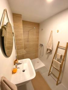 a bathroom with a sink and a shower at Cozy apartamento en distrito centro de Málaga in Málaga