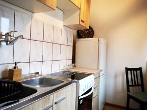 札維爾切的住宿－Apartament Nowowierzbowa 16 Zawiercie，一间带水槽和冰箱的小厨房