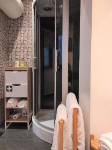 ein Bad mit einer Dusche und 2 Handtüchern in der Unterkunft Porto Downtown Taipas in Porto
