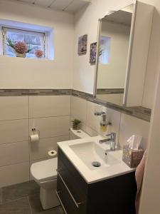a bathroom with a sink and a toilet and a mirror at Premium Lodge nahe Cochem - 5-Sterne- Ferienwohnung - 149 qm - für 2-6 Gäste in Greimersburg +19 photos