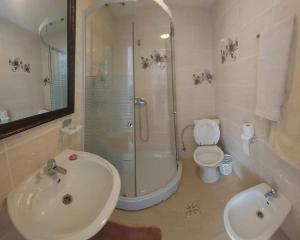 a bathroom with a shower and a sink and a toilet at CASA LENA -VATRA DORNEI in Vatra Dornei