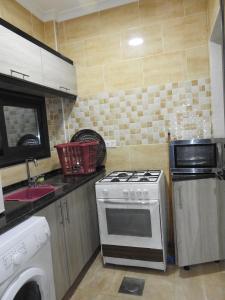 Η κουζίνα ή μικρή κουζίνα στο Amro Petra Apartment