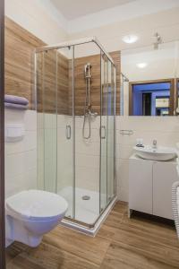 a bathroom with a shower and a toilet and a sink at Imperiall Resort&MediSPA-DOMKI PREMIUM in Sianozety