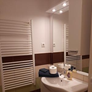 a bathroom with a sink and a mirror at Downtown Apartments Budapest in Budapest