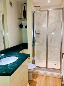 uma casa de banho com um chuveiro, um lavatório e um WC. em Contemporary large apartment in an ideal location em Bath