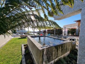 a fountain in a yard with a palm tree at Casa da Leira in Amarante