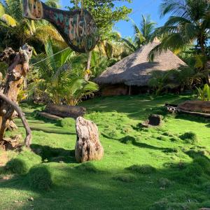 a garden with a rock in the grass and a hut at Ensueños big rooms in Little Corn Island