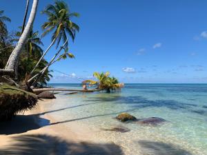 a beach with palm trees and the ocean at Ensueños big rooms in Little Corn Island