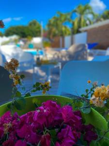 a green bucket filled with flowers next to blue chairs at Résidence La Manoula in Saint-François