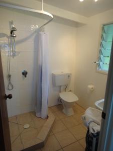 a bathroom with a toilet and a shower at Betela Beach House in Rarotonga