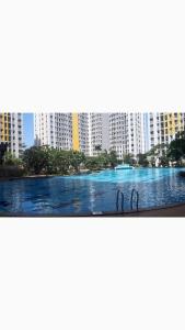 Бассейн в Apartemen Springlake Summarecon Lobby Basella 1023 Two Bedroom или поблизости