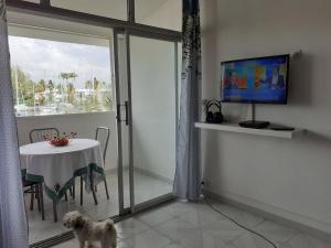 un chien debout dans une pièce avec une table et une télévision dans l'établissement BEAU STUDIO DUPLEX, à Les Trois-Îlets