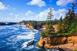 Φωτογραφία από το άλμπουμ του Bella Beach Home σε Depoe Bay