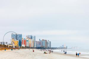 En strand ved eller i nærheten av leiligheten