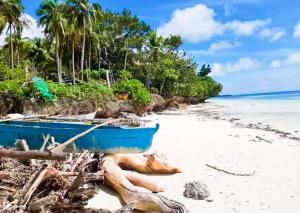 Pinoykano home في Candijay: القارب الأزرق جالس على شاطئ بجوار المحيط