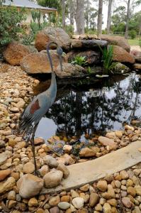 a bird standing on top of a pile of rocks at Waverley House Cottages in Lakes Entrance