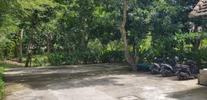 Giardino di Mango Tree Inn