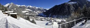 Zum Sonnentor App Pinus v zime