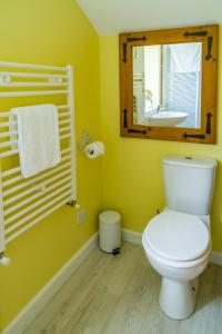 a bathroom with a white toilet and a mirror at The Sunshine Annex at Lower Fields Farm in Napton on the Hill