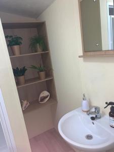 a bathroom with a sink and a shelf with potted plants at DaisyChain 2 Getaways - The perfect place to Stay - Play - Getaway in East Mersea