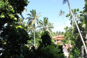 Zahrada ubytování Unawatuna Beach Bungalow -