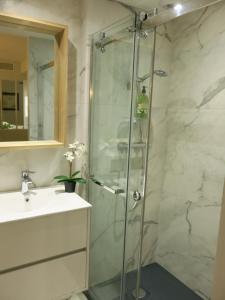 a shower with a glass door next to a sink at Les Petits Volets 3 appartements au choix in Antibes