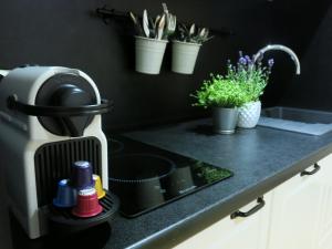 a coffee maker on a kitchen counter with potted plants at Les Petits Volets 3 appartements au choix in Antibes