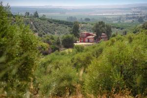 El Silgueiro entre Sevilla y Cordoba, Sevilla – Bijgewerkte ...