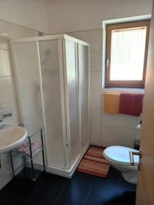 a bathroom with a shower and a sink and a toilet at Pferdehof Ansteingut in Sluderno