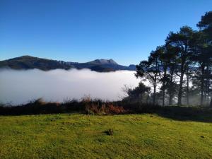 a view of a foggy field with trees and mountains at Los Arces in Elosu