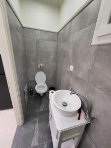 La salle de bains est pourvue d'un lavabo et de toilettes. dans l'établissement Lefkada Triola Apartments, à Leucade