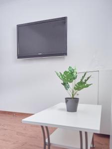 TV a/nebo společenská místnost v ubytování Ferienwohnung zur lustigen Gabi