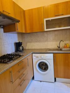 Kuchyň nebo kuchyňský kout v ubytování Djarfogo house + 19 fotografií
