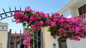 Un mazzo di fiori rosa appesi a un edificio di B&B Mitzixeddas a Màndas