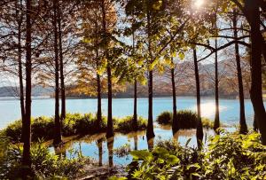 魚池鄉的住宿－萊客民宿，享有树木和阳光的湖泊美景