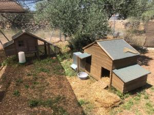 Vonkajšia záhrada v ubytovaní Paraiso Bell Tent