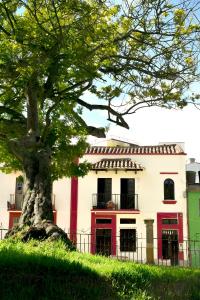 un arbre devant un bâtiment dans l'établissement Hotel Aroma del Bosque Posada Cafe, à Tunja