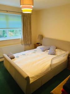 een groot bed in een slaapkamer met een raam bij Beautiful double en-suite room in Oakham