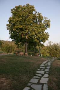 Photo de la galerie de l'établissement Crealto, à Alfiano Natta