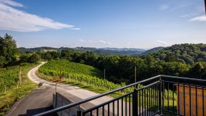 ガムリッツにあるFerienwohnung Weingut Birnstinglのブドウ園の道の景色 +10枚の写真